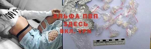 хмурый Алексин