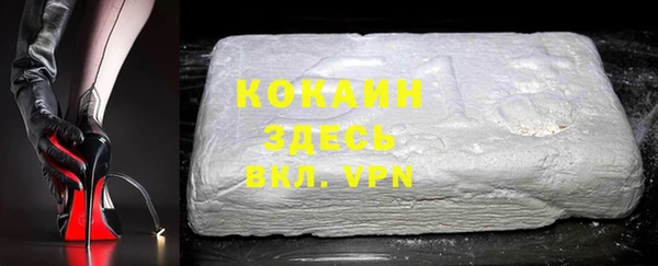 прущий лед Алзамай