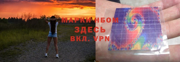 хмурый Алексин