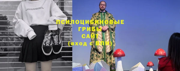 прущий лед Алзамай