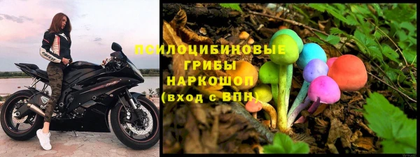 хмурый Алексин