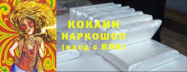 хмурый Алексин