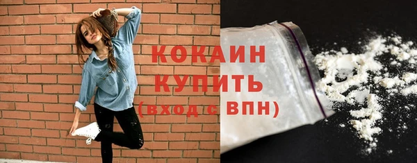 прущий лед Алзамай