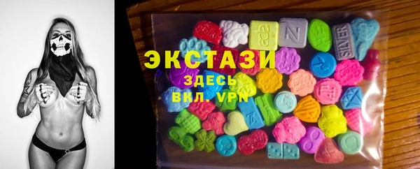 хмурый Алексин