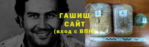 хмурый Алексин