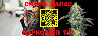 шишки Боровичи