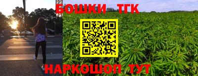 шишки Боровичи