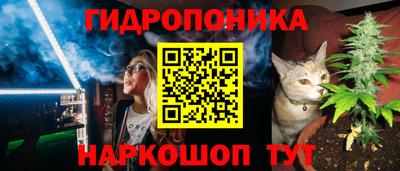 шишки Боровичи