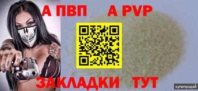 шишки Боровичи