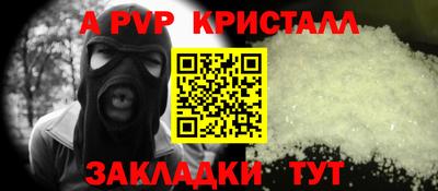 шишки Боровичи