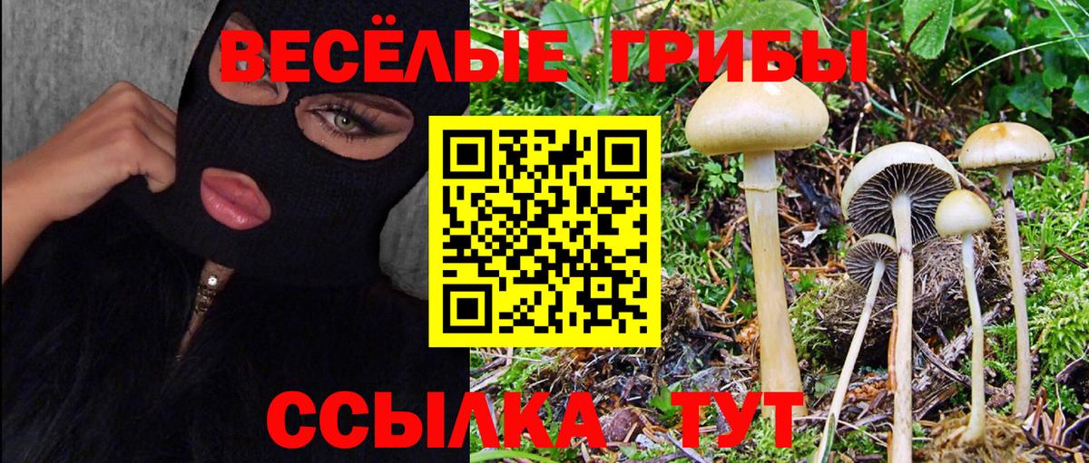 Псилоцибиновые грибы MAGIC MUSHROOMS  Вход с VPN  Псилоцибиновые грибы мицелий  Аргун 