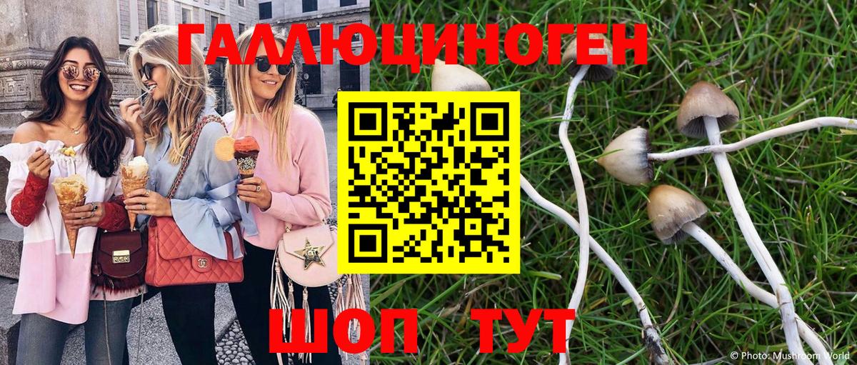 Псилоцибиновые грибы прущие грибы Аргун