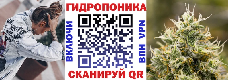 Каннабис семена Аргун
