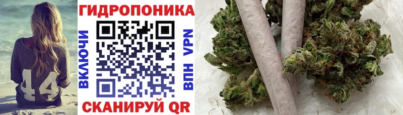 Конопля сатива что такое Аргун